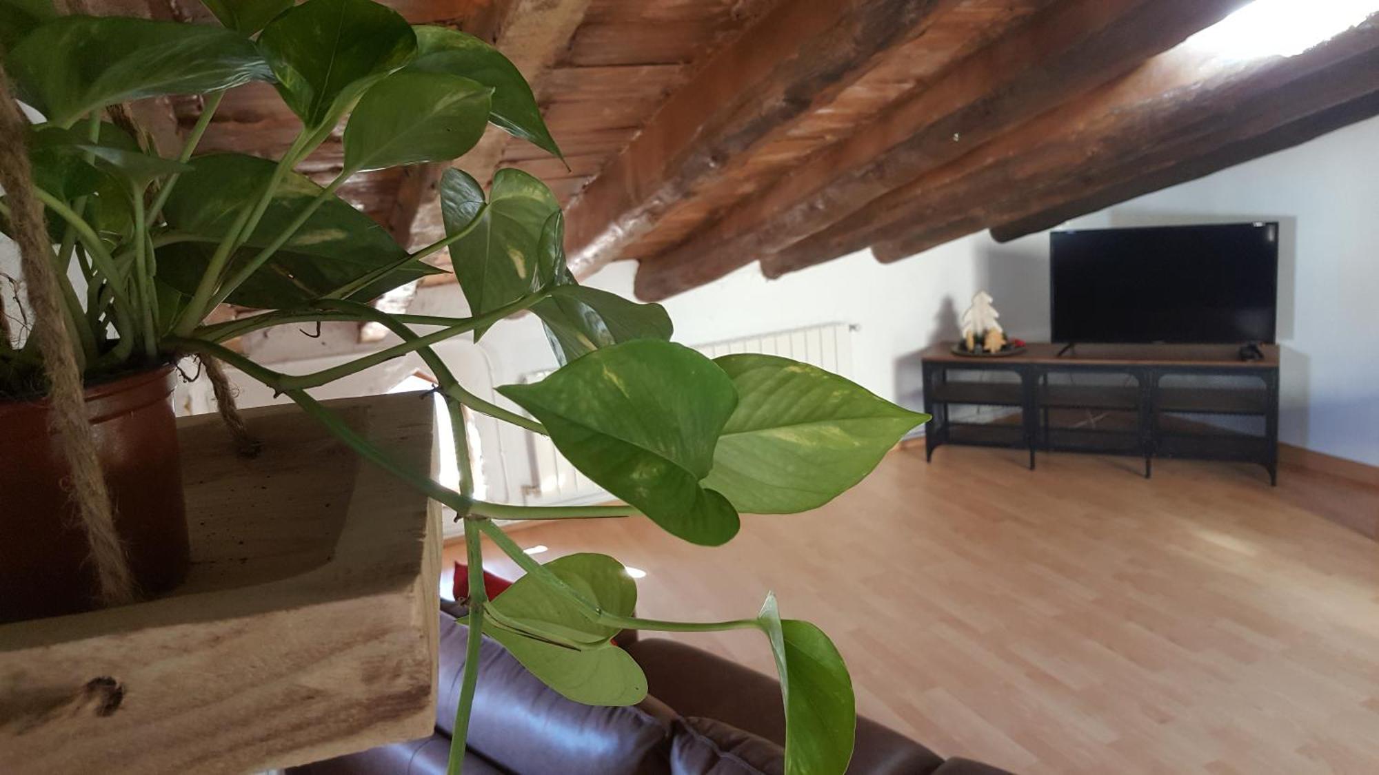 Espai Abadia Argentera Habitación foto